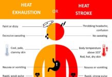 Heat exhaustion vs. Heat stroke: Which is which?