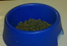 FDA identifies dog food brands connected to heart disease