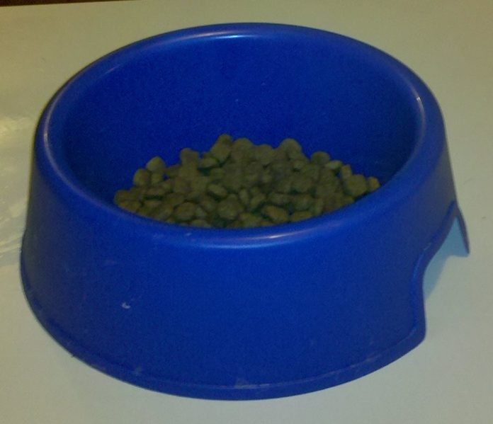 Large_Dog_food_bowl