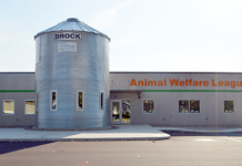 Animal Welfare League Plans Open House Saturday