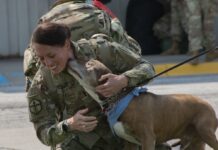 38th Infantry Division soldiers come home