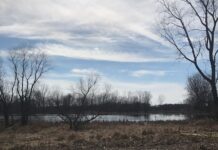 Autopsy done on found human remains, additional testing continues