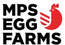 Egg sales skyrocket during COVID-19 pandemic