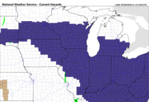 Hard freeze Friday night could harm plants, vegetation left out