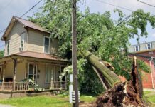 Severe thunderstorms cause widespread wind damage in the area