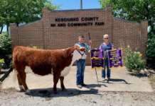 A Restricted 4-H Fair Gets Underway With Live Animal Projects