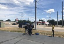 Nine baby ducks rescued from sewer line along State Road 15