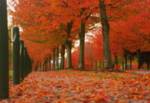 Tuesday marks the first day of the fall season
