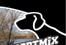 Dog, cat food part of a nationwide recall