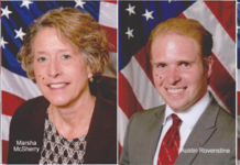 GOP Chair to seek re-election; Vice Chair stepping down