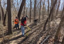 Weed Wrangle® is a Success on the Winona Lake Trails