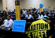 New Indiana Libertarian chair talks goals