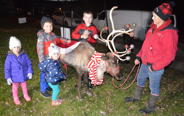 webster tree lighting