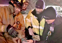 Cat Suffers Smoke Inhalation In Saturday Night Fire