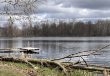 Body Of Claypool Man Found Tuesday Morning