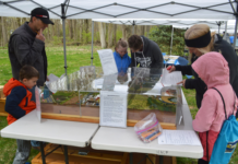 Earth Day Event In Syracuse Focuses On Conservation