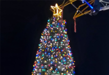 Tree Lighting Kicks Off Holiday Season In The Village At Winona