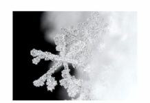 Storm Update: What to expect today