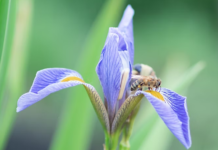 Winter, Spring programming announced by Lilly Center For Lakes & Streams