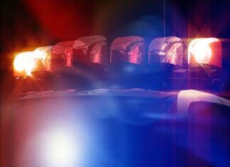 Syracuse man drowns while trying to rescue dog on pond