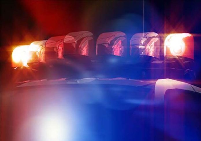 Large-scale bust in four counties results in 65 arrests