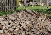 Earth Week ushers in spring yard waste services in Warsaaw