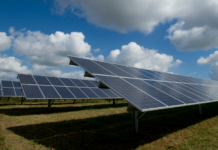 Bremen celebrates opening of 30-acre solar park