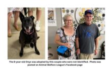 Publicity leads to adoption of longtime shelter dog at AWL