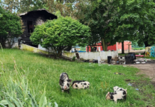 Pierceton house gutted by overnight fire