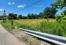 Rotary Club dog park cost estimate roughly $200,000