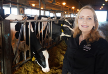 $1 million USDA grant to Purdue aims to boost efficiency at dairy farms