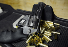 DNR to encourage non-lead shot usage, but no new bans in store