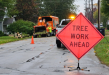 Tree removal underway ahead of Lincoln area sidewalk project