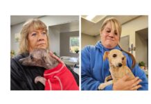 Three people, 12 dogs found living in filthy conditions