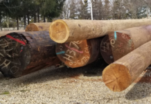 Utility pole replacement causing road closures along Armstrong Road