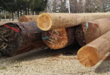 Three closings continue on utility pole project