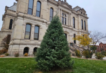 Permanent ‘Christmas tree’ added to Kosciusko Courthouse lawn