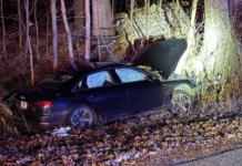 One dead in overnight crash on Epworth Forrest Road