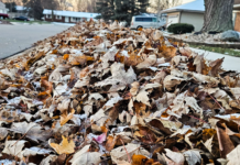 Leaf pickup in Warsaw has begun and will expand starting Nov.3