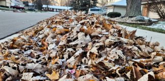 Warsaw leaf collection set to begin Nov. 2 and end by Dec. 11