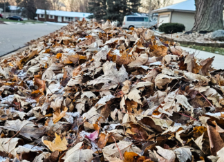 Warsaw leaf collection set to begin Nov. 2 and end by Dec. 11