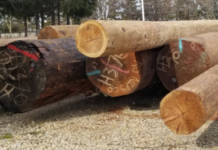 Utility pole replacement work expected to conclude this week