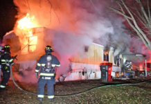 Dog perishes in mobile home fire in Pierceton
