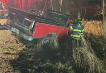 Man killed after truck strikes tree