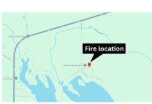 Cat dies in house fire near Palestine Lake
