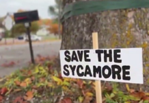 State approves workaround for massive Sycamore