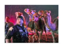 Camels and Zebras rescued from burning trailer on I-69