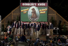 Early spring predicted on Groundhog Day 2024