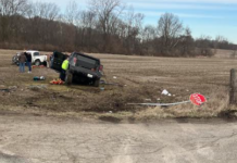 One dead in collision north of Palestine Lake