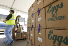 Largest fresh egg producer in US reports bird flu at Texas plant